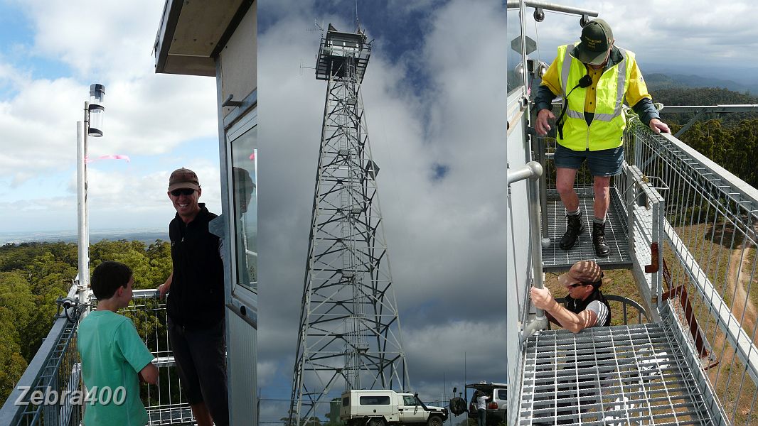 01-Ian shows us how it is just a short climb to the top of the Mt Buck Fire Tower.JPG